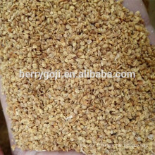 Graine de baies de Goji / graines de goji NQ-1 / NQ-7 / Pour plante